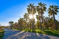 Playa El Pinar beach in Grao de Castellon Royalty Free Stock Photo