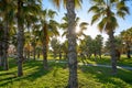 Playa El Pinar beach in Grao de Castellon Royalty Free Stock Photo