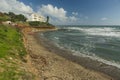 playa en el mediterraneo tras un temporal, con caÃ±as y maderas en la orilla