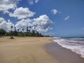 Playa Espinar Beach Aguada Puerto Rico sand trees island life