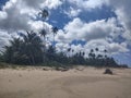 Playa Espinar Beach Aguada Puerto Rico sand trees island life