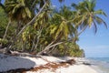 Playa Front n in the Samana peninsula, Dominican Republic