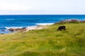 Playa Jibacoa, northern coast of Cuba