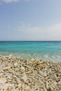 Playa Karakter on Curacao Royalty Free Stock Photo