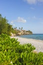 Playa Karakter on Curacao Royalty Free Stock Photo