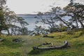 Playa larga, tierra del fuego, argentina