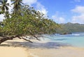 Playa Rincon, beach attraction in Dominican Republic Royalty Free Stock Photo