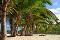 Playa Rincon beach on Dominican Republic Royalty Free Stock Photo