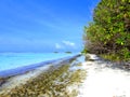 Naturaleza salvaje playa Isla de Dhigurah. Maldivas.