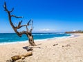 Playa Venado, Guanacaste, Costa Rica Royalty Free Stock Photo