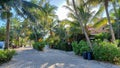 Playacar street view in the daytime Royalty Free Stock Photo