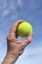 Player Gripping a Yellow Tennis Ball