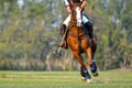 The player and the horse in the polo Royalty Free Stock Photo