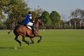 Player riding horse on the field in horse polo match tournament. Royalty Free Stock Photo