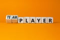 Player or teamplayer symbol. Turned wooden cubes and changed the concept word Player to Teamplayer. Beautiful orange table orange Royalty Free Stock Photo