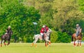 players in action during a polo match Royalty Free Stock Photo