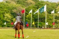 players in action during a polo match Royalty Free Stock Photo
