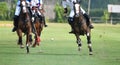 Players are riding on horseback to grab the polo ball in a fierce speed