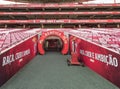 Players tunnel at FC Benfica stadium. Lisboa, Portugal