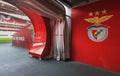Players tunnel at FC Benfica stadium. Lisboa, Portugal