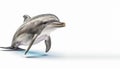 Playful behavior of Dolphin on isolated white background Royalty Free Stock Photo