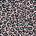 Leopard print repeat pattern design with pink background. Great for home decor, wrapping, fashion, scrapbooking Royalty Free Stock Photo