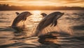 Playful bottle nosed dolphins jumping in the sunset, splashing joyfully generated by AI Royalty Free Stock Photo