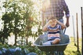 Playful boy have fun while driving on wheelbarrows