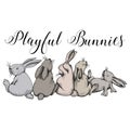 Playful bunnies, rabbits, cute bunny fun