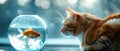 A Playful Cat Eagerly Watches A Fish Swimming In A Bowl