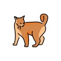 Playful cat standing color line icon. Pictogram for web page Royalty Free Stock Photo