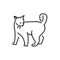 Playful cat standing color line icon. Pictogram for web page Royalty Free Stock Photo