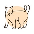 Playful cat standing color line icon. Pictogram for web page Royalty Free Stock Photo