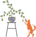 Playful cat standing near pot with flower. Cute kitten spends time alone, plays with houseplant Royalty Free Stock Photo