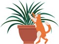 Playful cat standing near pot with flower. Cute kitten spends time alone, plays with houseplant Royalty Free Stock Photo