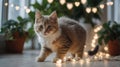 Adorable Kitten Playing with Heart-Shaped Fairy Lights in Cozy Home Royalty Free Stock Photo