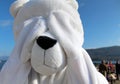 Playful character dressed as polar bear Royalty Free Stock Photo