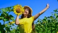 Playful child girl harvesting beautiful sunflowers at farm Royalty Free Stock Photo