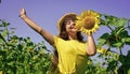 Playful child girl harvesting beautiful sunflowers at farm Royalty Free Stock Photo