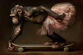 Whimsical Monkey Ballerina Skating