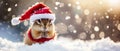 Playful Chipmunk Dressed As Santa With A Festive Hat And Sweater, Enjoying The Snow