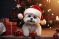 Playful Christmas scenes with pets dressed in