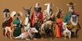 Collage of animals in traditional clothing representing different cultures and customs from around, concept of Cultural