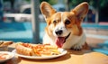 Playful corgi indulging in an unexpected treat. Created with generative AI tools