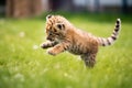 playful cub pouncing on a shaded spot