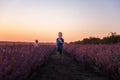 Playful cute boy girl are playing in rows of lavender purple field at sunset. Small couple. Allergy Royalty Free Stock Photo