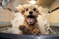 Playful Dog Happily Jumping Into Grooming Salons Tub. Generative AI