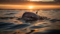 Playful dolphin swimming in the blue sea at sunset generated by AI Royalty Free Stock Photo