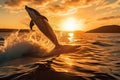 Playful Dolphins and Sailboat at Golden Hour