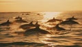 Playful dolphins swimming in the sunset sea generated by AI Royalty Free Stock Photo